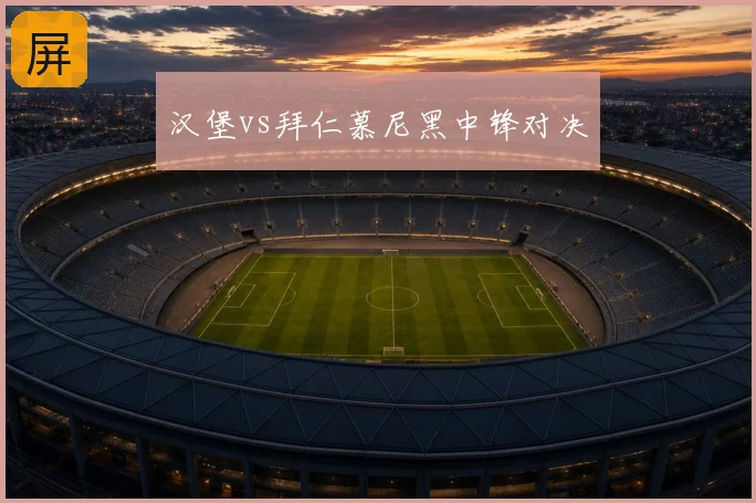 汉堡vs拜仁慕尼黑中锋对决