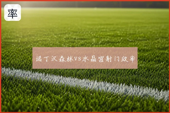 诺丁汉森林vs水晶宫射门效率