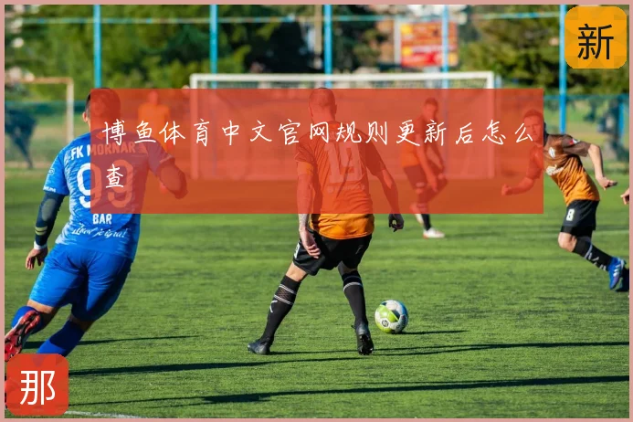 博鱼体育中文官网规则更新后怎么查